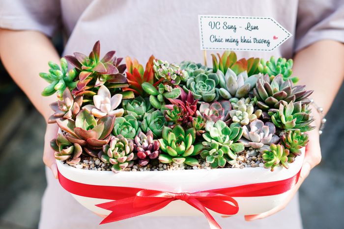 Vườn Của Bờm - Ảnh 3