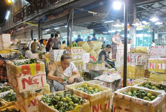 Không gian giao thương sôi động tại Chợ Đầu Mối Hóc Môn