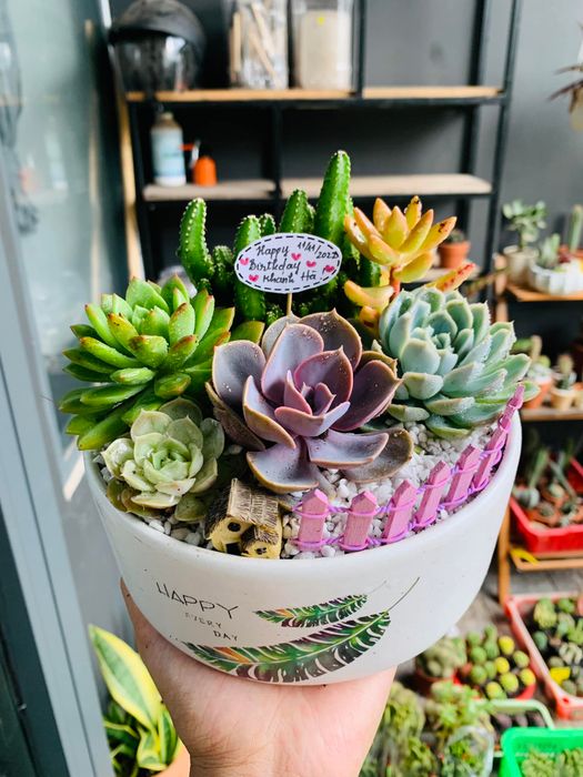 Win Garden - Ảnh 1
