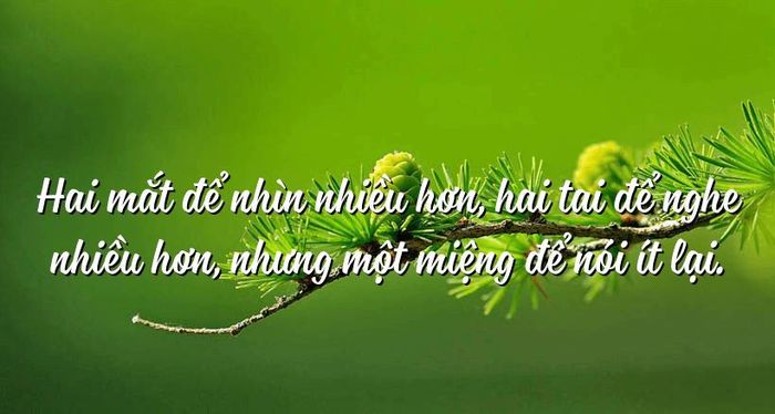 Hình ảnh minh họa đầy ý nghĩa (Nguồn: Internet)