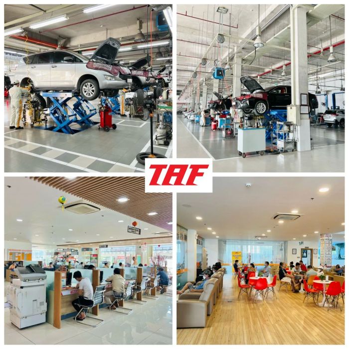 Toyota An Thành Fukushima - TAF ảnh 2