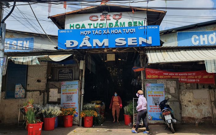 Không gian nhộn nhịp của chợ hoa đêm Đầm Sen