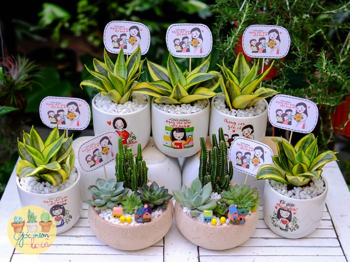 Góc Vườn La Cà - Ảnh 2