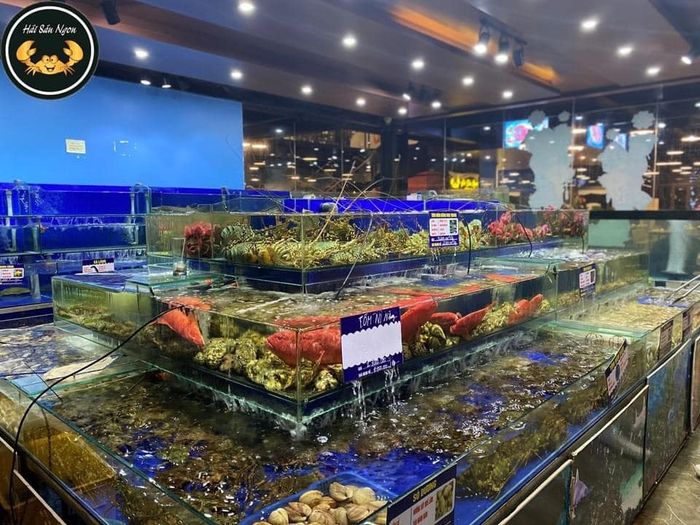Hải Sản Ngon Vĩnh Phúc - Hình ảnh 1