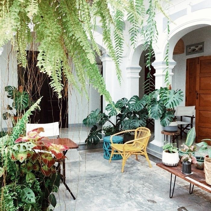 Xưởng 1925 Roastery ảnh 2