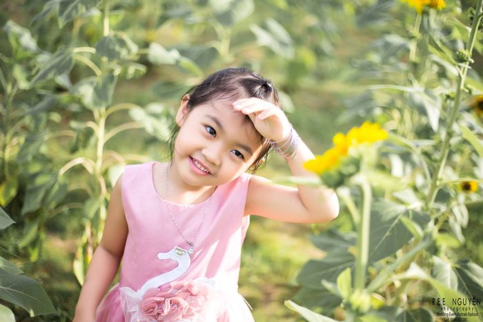 Tác phẩm đầu tay từ Ree Nguyễn Studio
