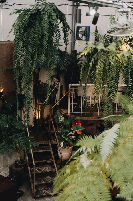 Inner Drinkhub & Lifestyle ảnh 2