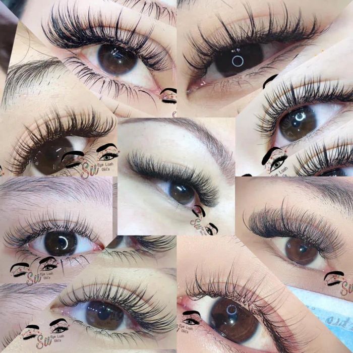 Su EyeLash ảnh 1