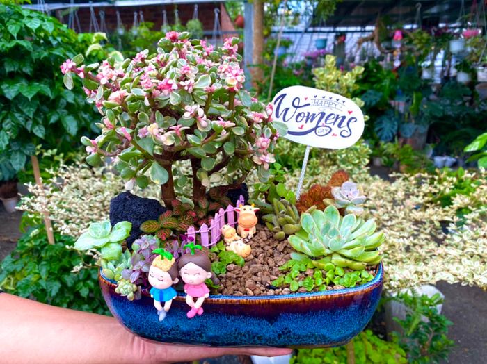 Xanh House Garden - Ảnh 2