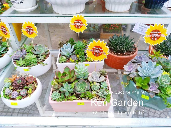 Ken Garden - Ảnh 2