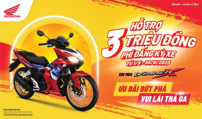Góc trưng bày đầy ấn tượng tại HEAD Liên Hiệp Thành - Ảnh 3