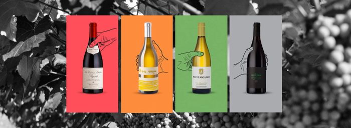 Bộ sưu tập rượu vang hữu cơ đa dạng tại Vinobeer Vietnam