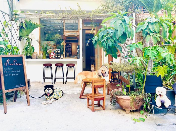 Amore Gardens ảnh 2