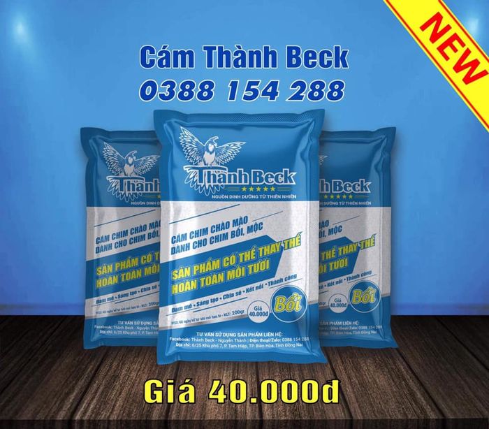 Không gian huấn luyện chim tại Trại Chim Thành Beck
