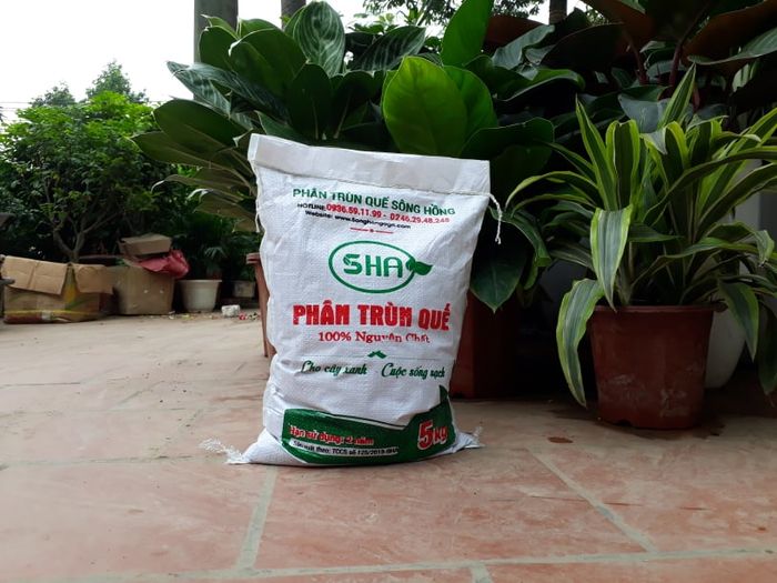 Phân Trùn Quế (Phân Giun Quế) Sông Hồng ảnh 2
