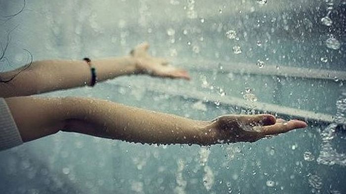 Những hạt mưa như phép màu, đánh thức sức sống tiềm tàng trong thiên nhiên và lòng người