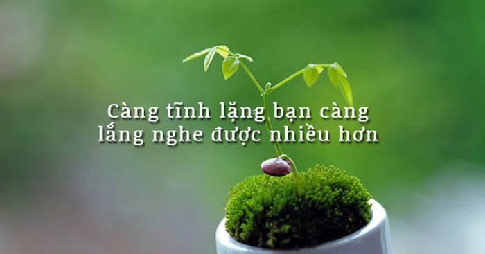 Hình ảnh minh họa sinh động (Nguồn: Internet)