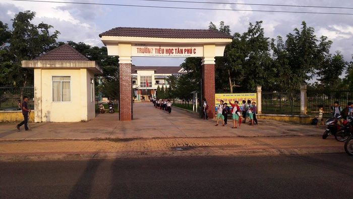 Hình ảnh ấn tượng về khuôn viên Trường Tiểu học Tân Phú C