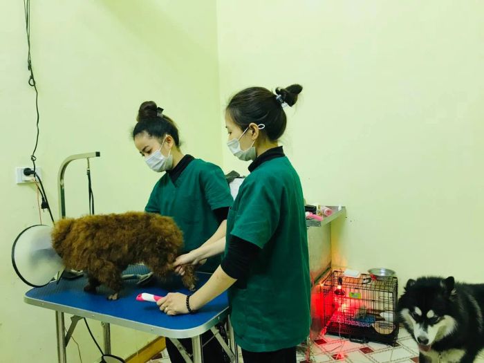 Phòng khám thú y Hưng Yên - Bs Nên ảnh 1