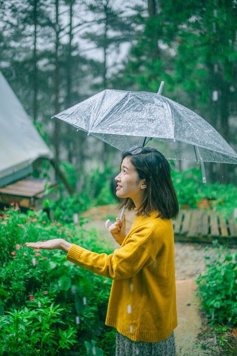 Hình ảnh minh họa (Nguồn internet) ảnh 1