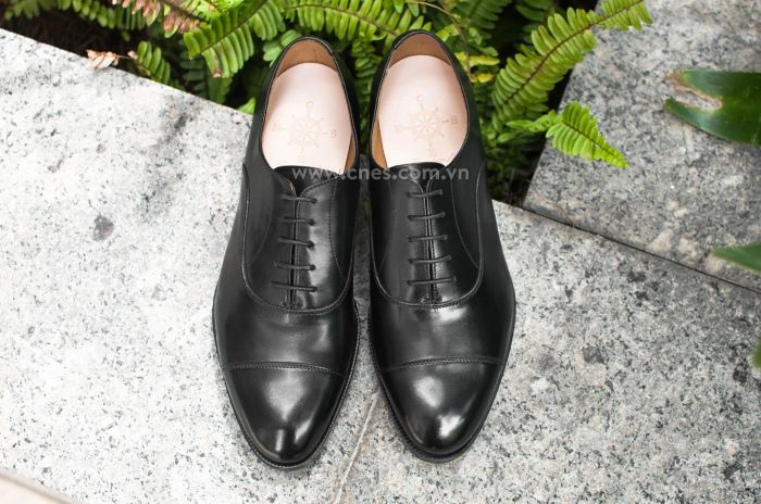 CNES Shoemaker ảnh 2