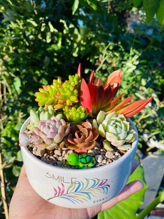 Xanh House Garden - Ảnh 3