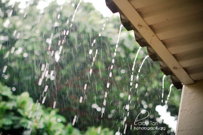 Những hạt mưa đầu mùa rơi lộp độp trên mái tôn - Ảnh minh họa
