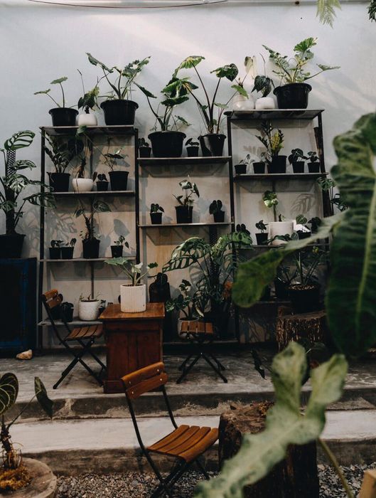 Inner Drinkhub & Lifestyle ảnh 3