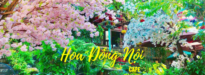 Cà phê Hoa Đồng Nội Nha Trang ảnh 1