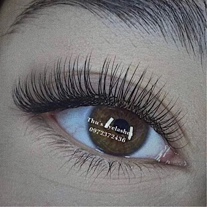 Thu's Eyelashes ảnh 2