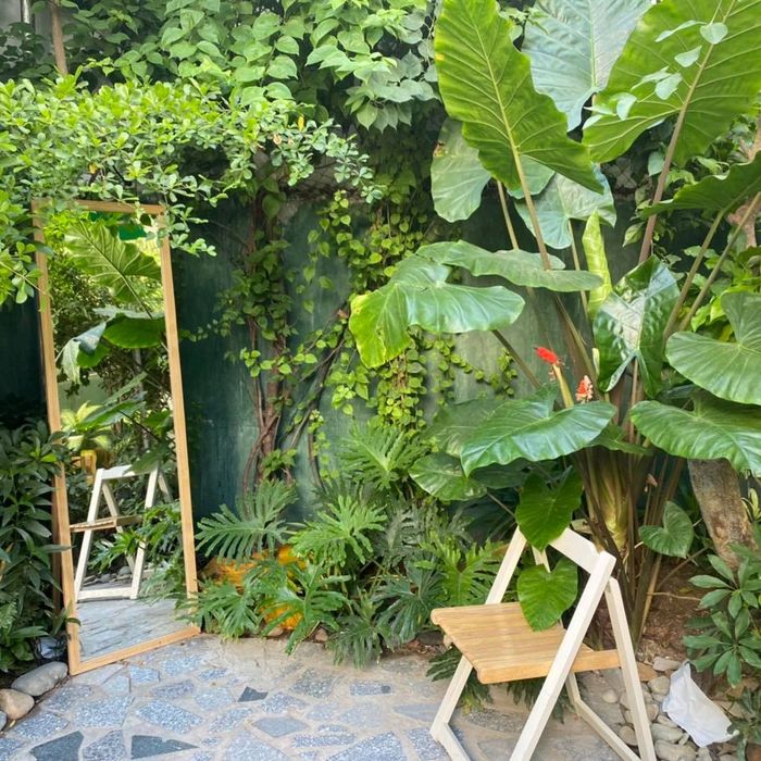 Terra Coffee & Tea ảnh 2