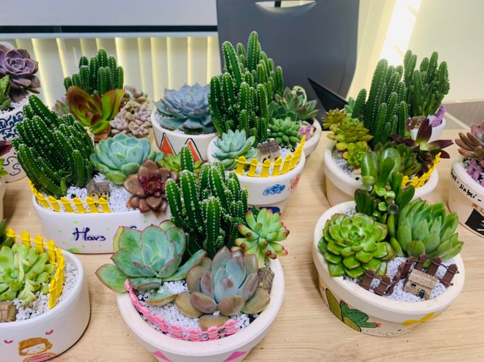 Win Garden - Ảnh 2