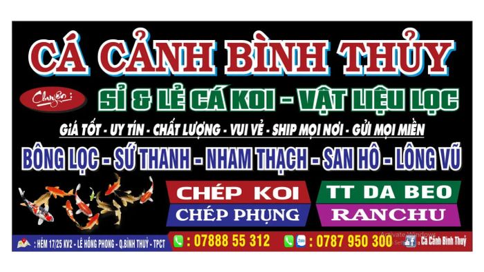 Cá Cảnh Bình Thủy ảnh 1