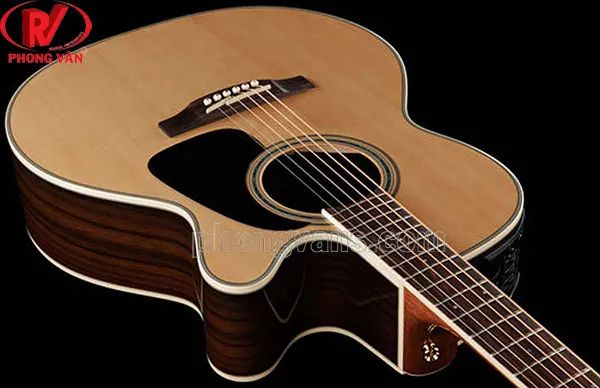 Cây đàn guitar Takamine với thiết kế sang trọng và âm thanh đỉnh cao ảnh 1