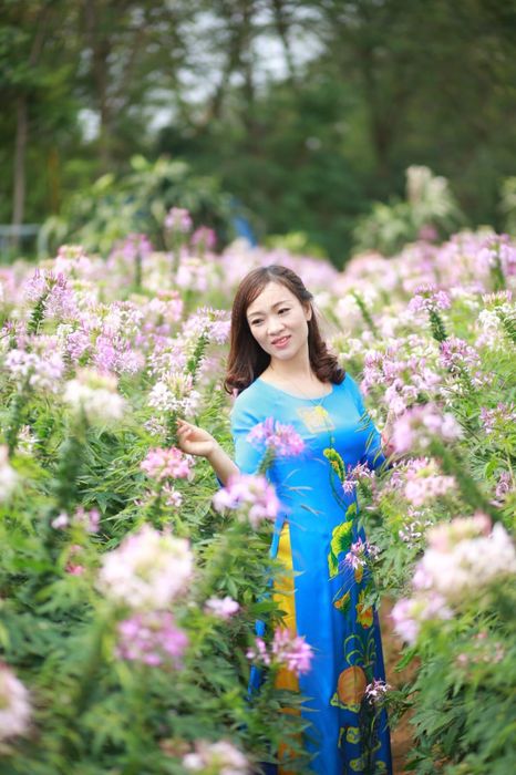 Hình ảnh nữ thi sĩ - nhà giáo Lan Vương
