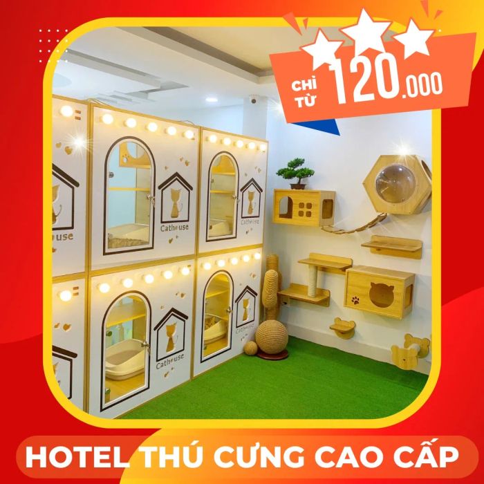 Cathouse hình ảnh 1