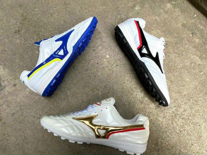 Bộ sưu tập mới nhất tại Suri Sports