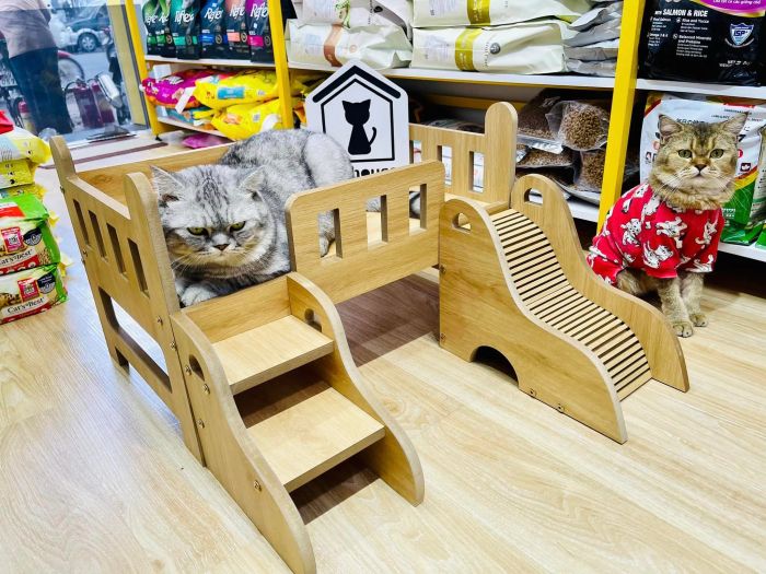 Cathouse hình ảnh 2