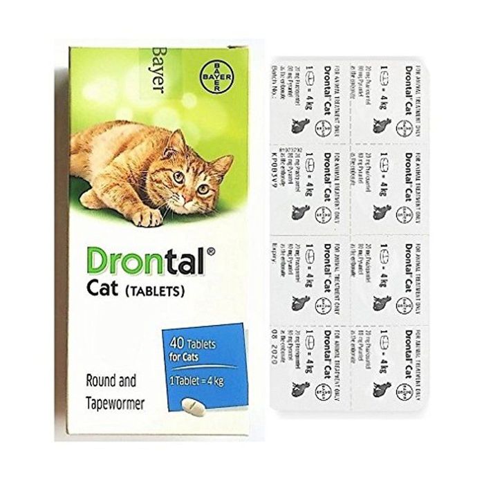 Hình ảnh chi tiết thuốc tẩy giun Drontal từ Bayer