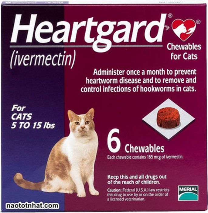 Hình ảnh thuốc tẩy giun Heartgard dạng viên nhai cho mèo