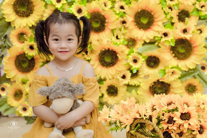 Những góc hình đáng yêu từ Minion Studio