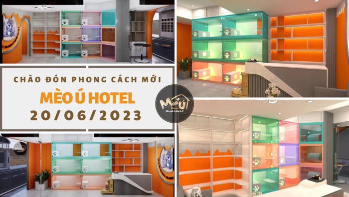 Oscar Pet hình ảnh 2