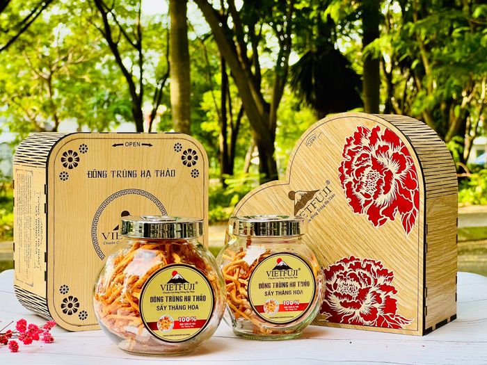 Hình ảnh quy trình nuôi trồng đông trùng hạ thảo công nghệ cao tại VietFuji