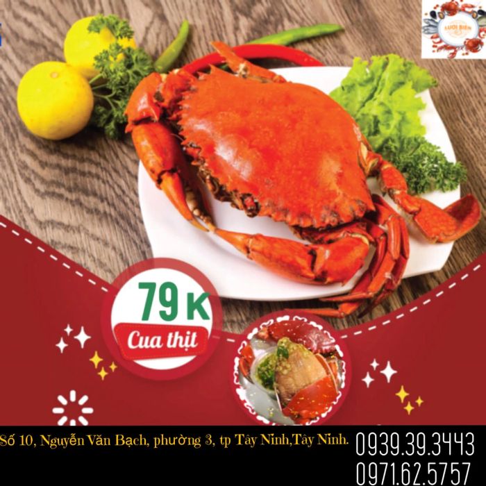 Bể hải sản tươi sống đa dạng tại Hải Sản Lưới Biển