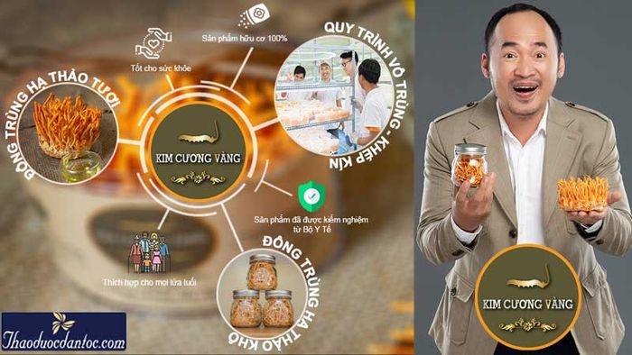 Bộ sưu tập đông trùng hạ thảo cao cấp Kim Cương Vàng