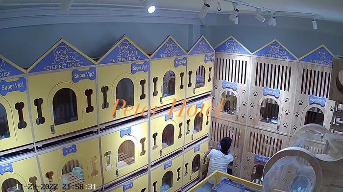 Hình ảnh thân thương tại PETER PET HOUSE – Ảnh số 2