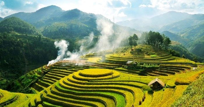 Hình ảnh minh họa đầy cảm xúc (Nguồn: internet)