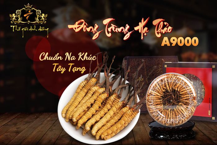 Hình ảnh đông trùng hạ thảo Tây Tạng A9000 cao cấp tại Onplaza