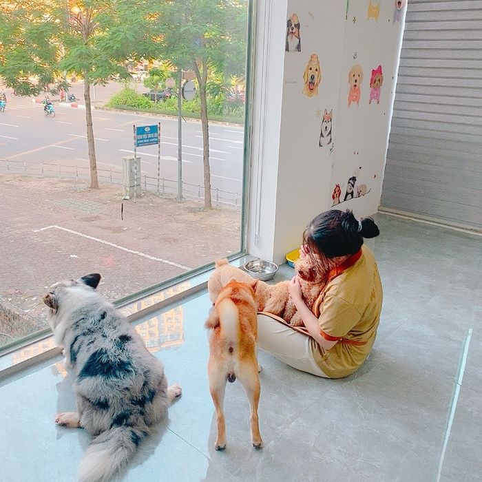 We Love Pets – Góc nhìn đáng yêu (ảnh 2)