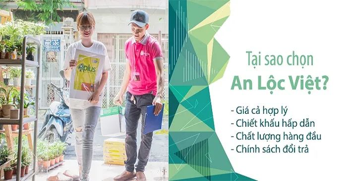 Công Ty TNHH MTV An Lộc Việt - Hình ảnh 1